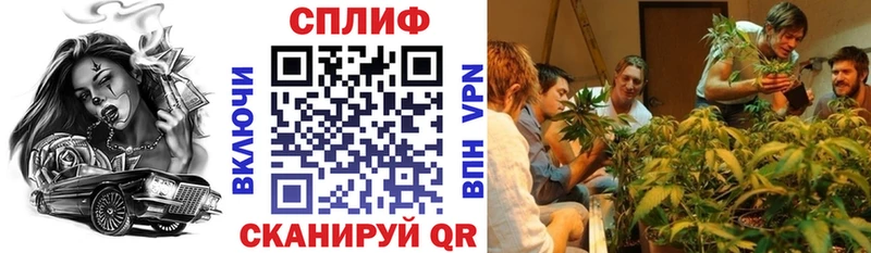 Бошки марихуана сатива Кольчугино
